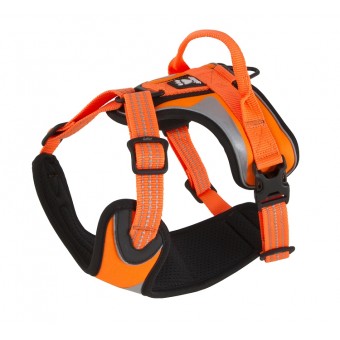 Hurtta Lifeguard Dazzle Harness - oranž